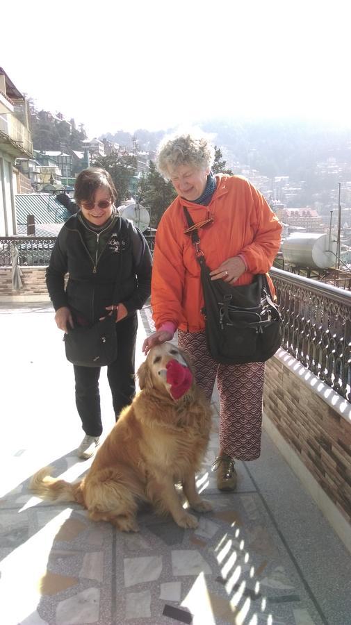 The Thistle Lodge Shimla Eksteriør billede